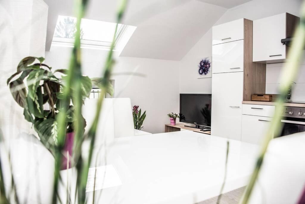 Apartment Pouringraz Fuer Kunst- Und Tennisliebhaber Экстерьер фото
